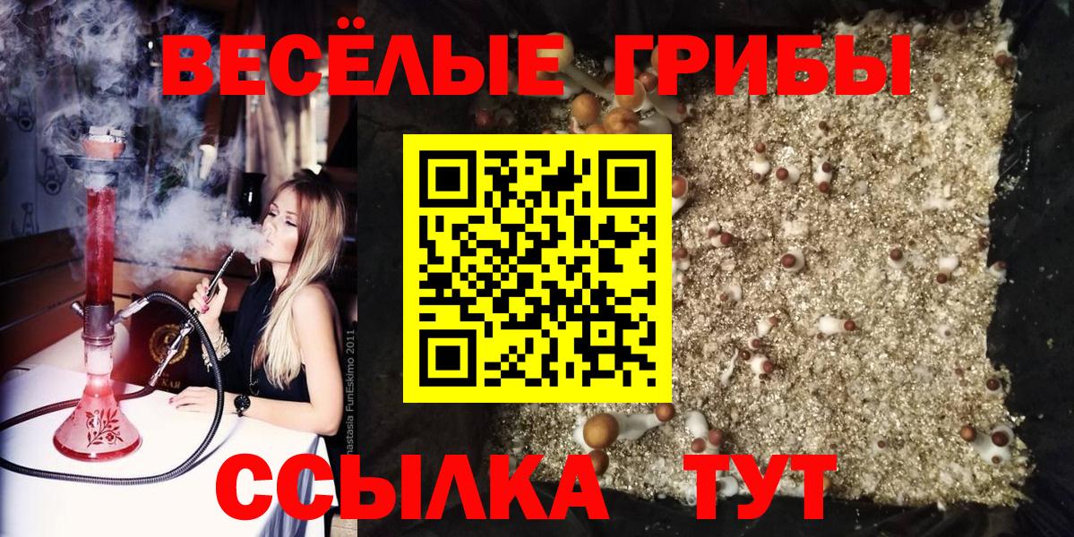 Галлюциногенные грибы мицелий  Вход с VPN  Ногинск 