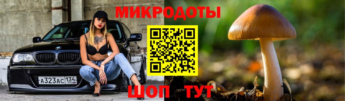 Псилоцибиновые грибы Cubensis Ногинск